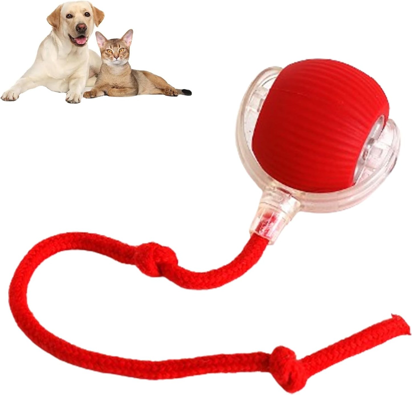 Bolita. Smart Rolling Pet Ball with Rope