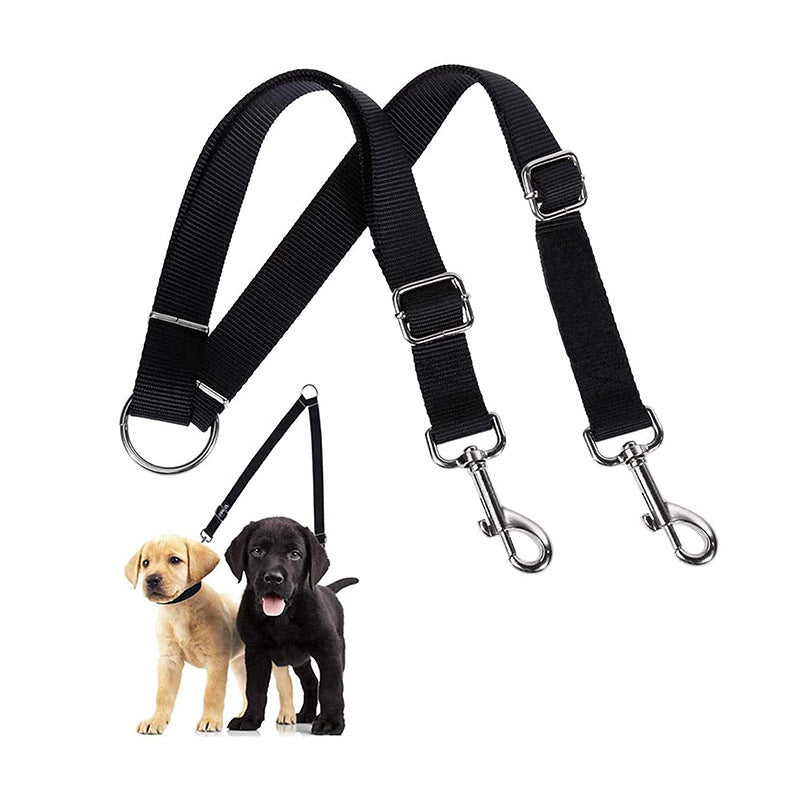 37d4f163c61e90642c64f3b7a78cecc3