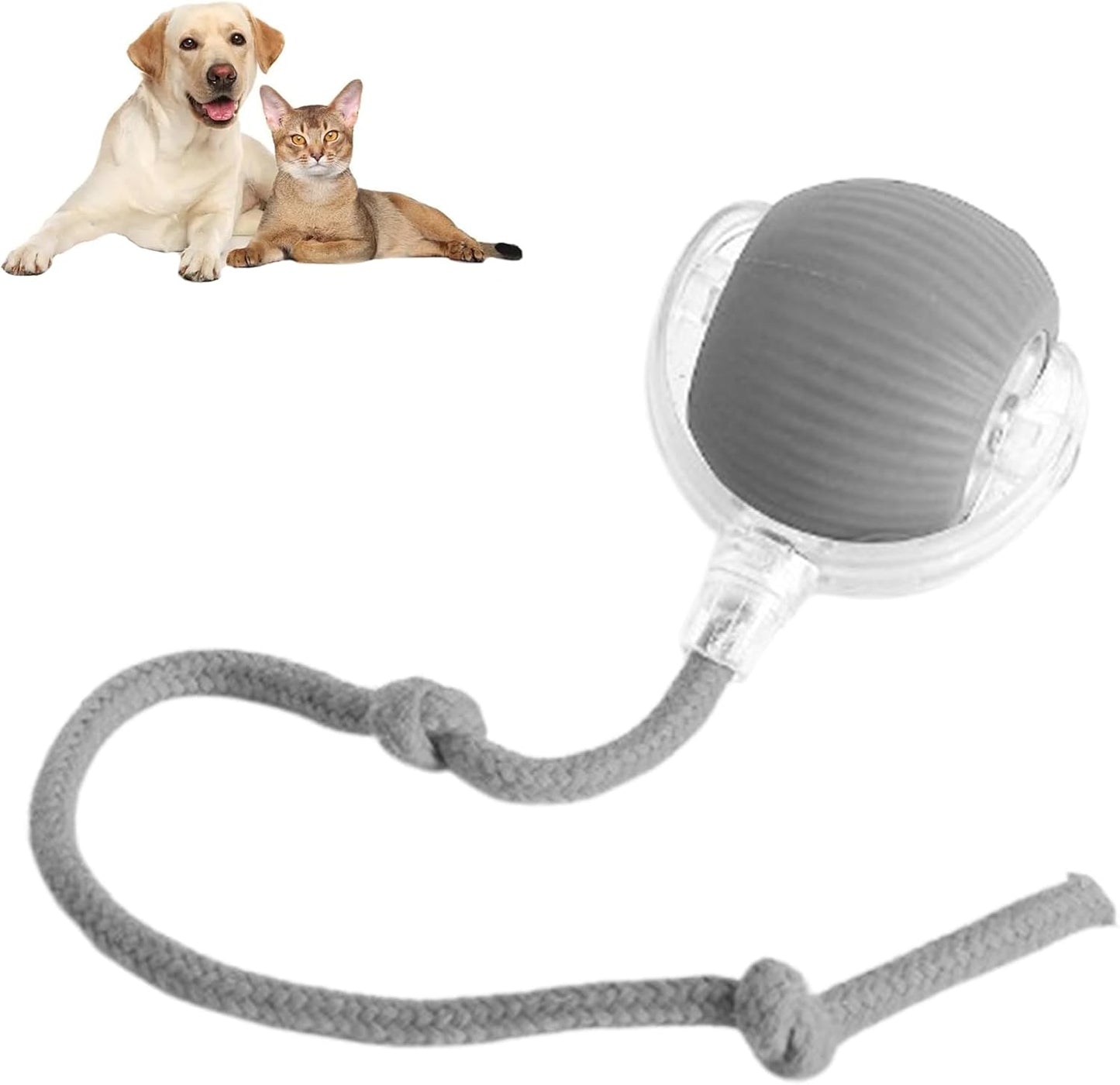 Bolita. Smart Rolling Pet Ball with Rope