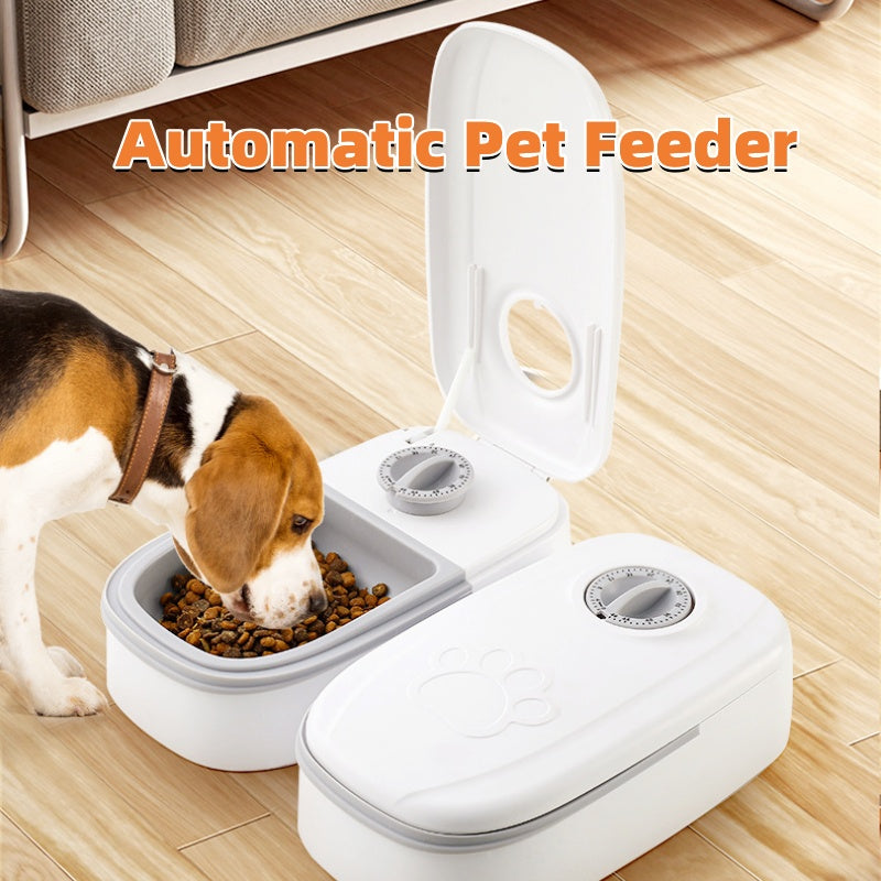 PawsTime™ Smart automatisk husdjursmatare.
