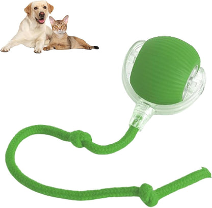 Bolita. Smart Rolling Pet Ball with Rope