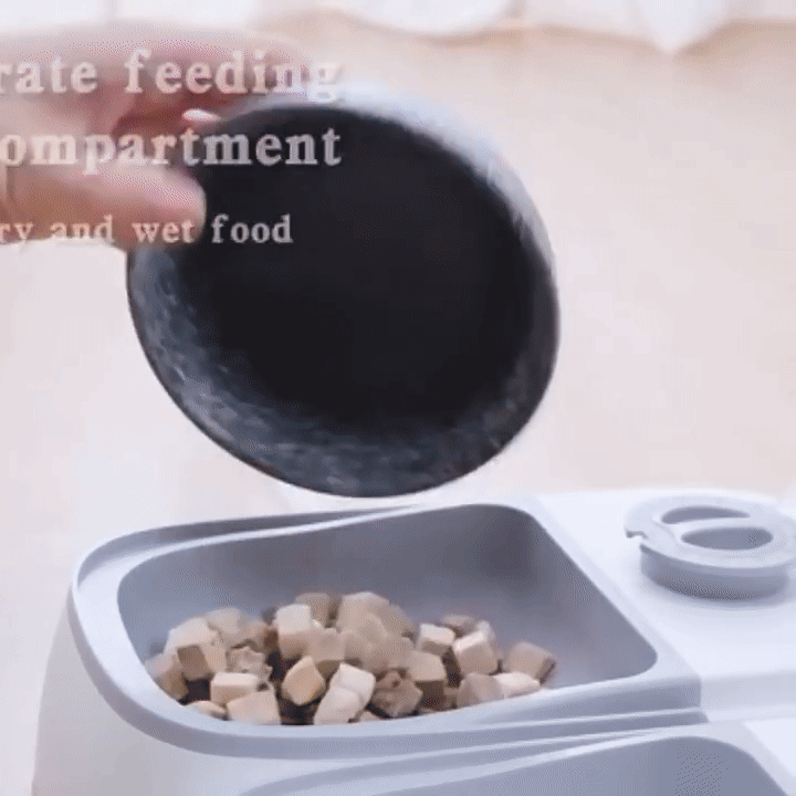 PawsTime™ Smart automatisk husdjursmatare.