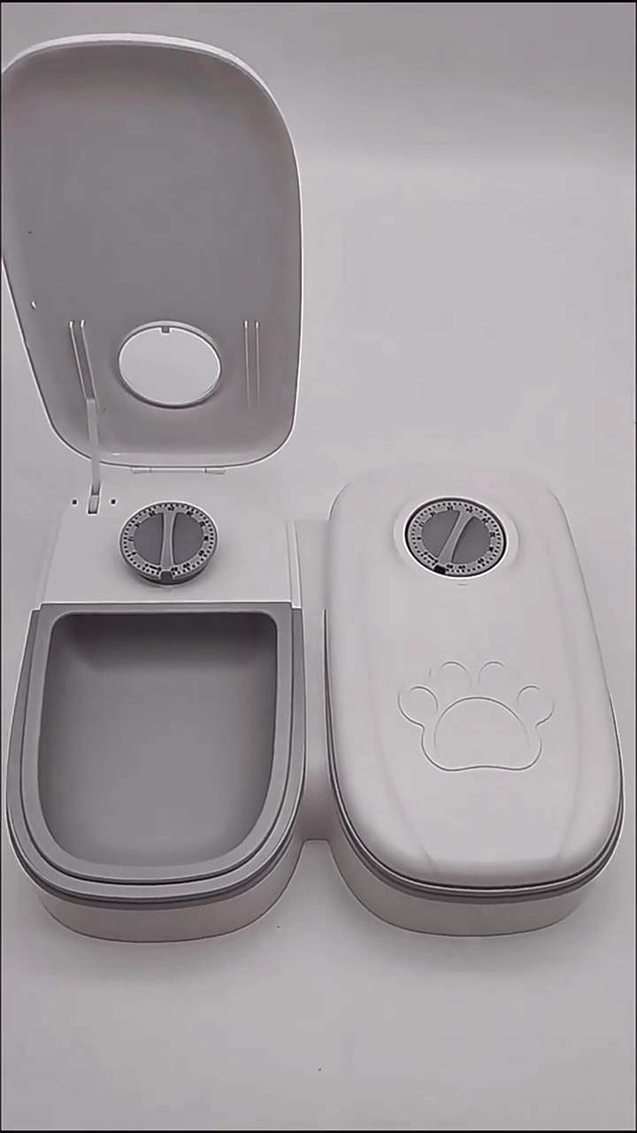 PawsTime™ Smart automatisk husdjursmatare.