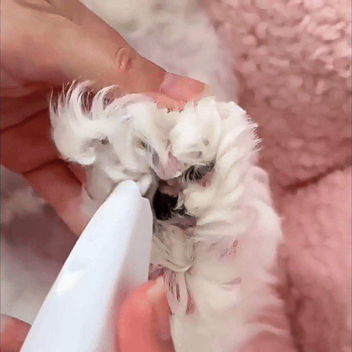 PawGroom Pro™ LED Pet Trimmer