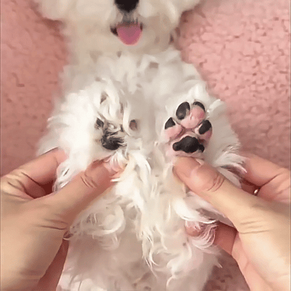 PawGroom Pro™ LED Pet Trimmer