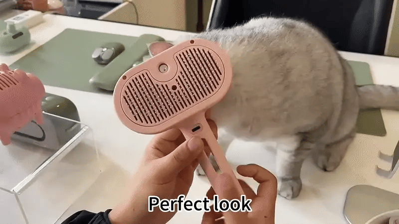 FluffyFriend™ Självrengörande dimmaborste för husdjur