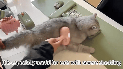 FluffyFriend™ Självrengörande dimmaborste för husdjur