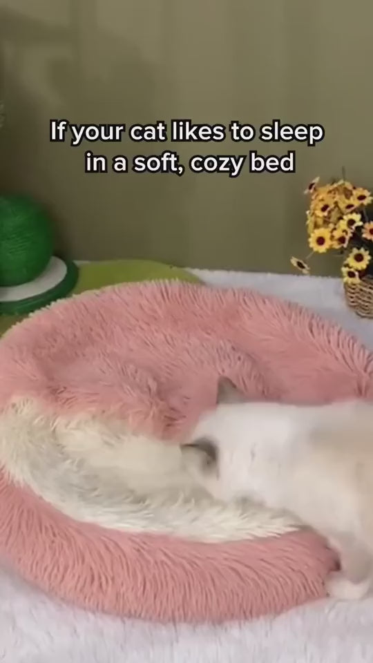 CuddleCave™ 2-in-1 Deluxe Pet Bed